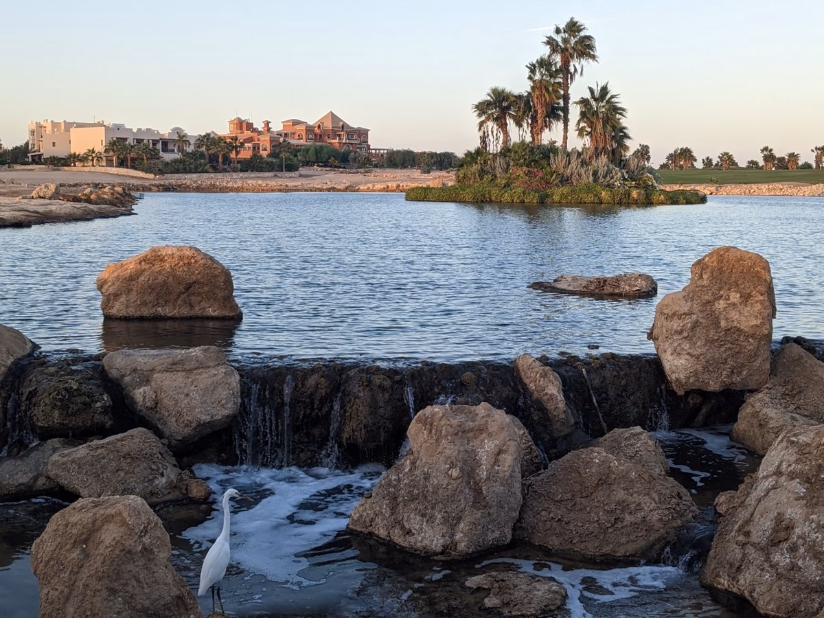 Golf in Soma Bay: World-Class Red Sea Courses, Coastal Holes & Modern Facilities - Image 3